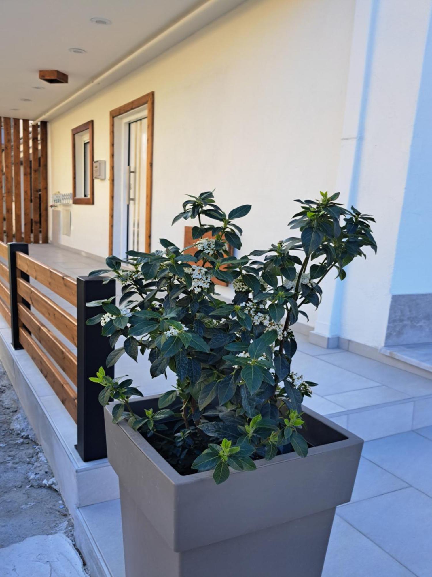 Ithaca σπίτι με αυτόνομη είσοδο Appartamento *